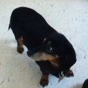 Aden  Johnson - @aden2002 - Twitter