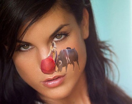 ECDL4's profile picture. 