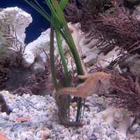 Manolo2959 (@manolo2959) 's Twitter Profile
