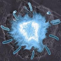 Cool Science Videos (@coolsciencevids) 's Twitter Profile
