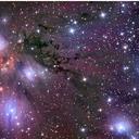 Dara Hill - @Dara09986782 - Twitter