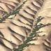 The Perron Group at MIT (@mitgeomorph) Twitter profile photo The Perron Group at MIT (@mitgeomorph) Twitter profile photo