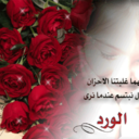 عبدالقدوس الطارقي (@0595175529) Twitter