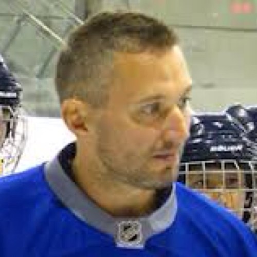Professional hockey player/sulker (parody of course)