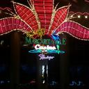 Marissa Mast - @marissamast - Twitter