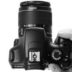 Full time Freelance Sports Photographer working in the West Midlands region. Working with Wolverhampton Schools FA and Wolves academy among others