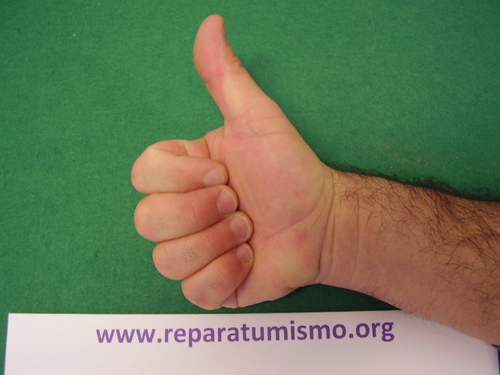 reparatumismo's profile picture. ACTUALMENTE  SOLO ESTA ACTIVO EL CANAL DE YOUTUBE.
https://t.co/LE6USAe9q0