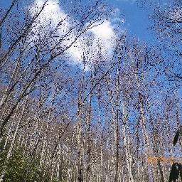 fivemibal's profile picture. Math Teacher and Math Coordinator @FutureReadyAcademyBCS, Mother, Wife, Christian