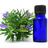plantas_med's profile image