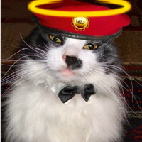 Feral Tom (@feraltom) 's Twitter Profile