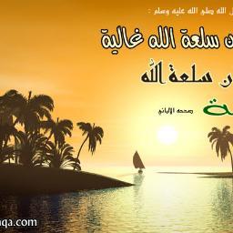 NAYELDAHERMAGAB's profile picture. 