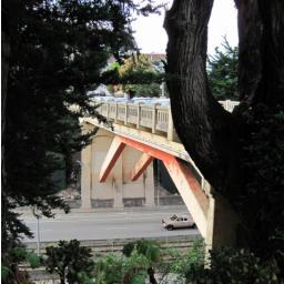 The College Hill Neighborhood Association serves Bernal Heights' College Hill + the Bernal Cut. Join our quest for clean, green, safe SF streets!