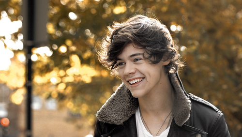 You (un)follow me,I (un)follow you ... #Directioner xx. This is reserve account of @Team1D_RO -- Please follow this :)