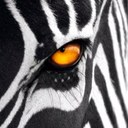 Thomas Zara - @thomas_zara - Twitter