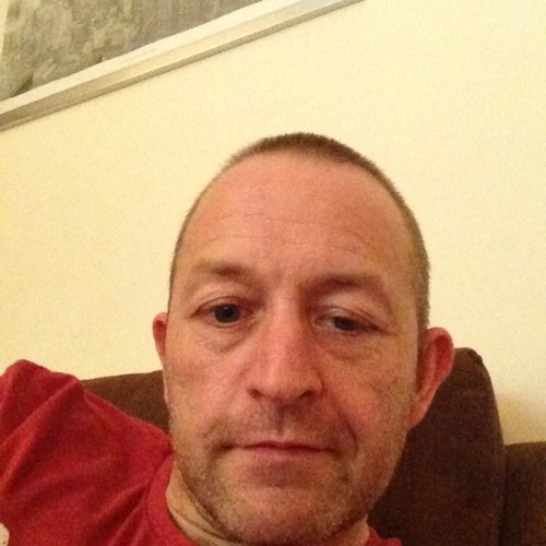 chimp8471's profile picture. 