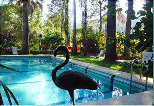 ElbotanicoSagra's profile picture. Hotel rural en un vergel de arboles y plantas, en Sagra (Alicante) donde el entorno y la comida despertarán tus instintos... paz.... armonía y descanso... Vida