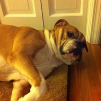 jonfaucher (@jonfaucher) 's Twitter Profile