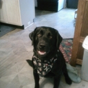 debbie cramer  - @debbie_cramer - Twitter