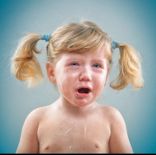 german_arce's profile picture. Fotógrafo