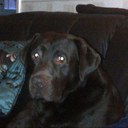 Simon Melton - @weeman1970 - Twitter