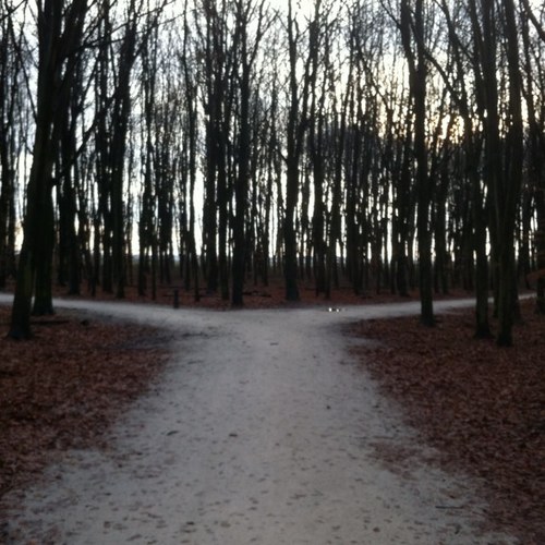 peterpook1970's profile picture. 