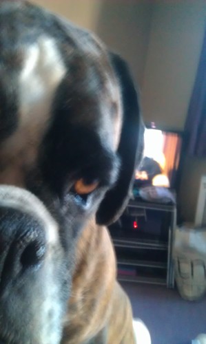 JoyWatling's profile picture. 