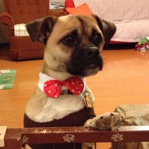 michaeljacku2's profile picture. 