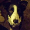 Amanda Slabaugh - @musicaljunkie21 - Twitter