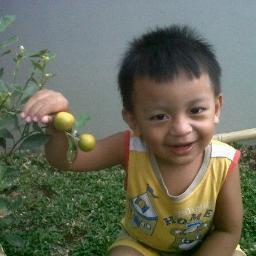 hehe buah tomat buat nyambel