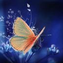 Sonja Murphy - @Sonjamurph - Twitter