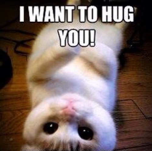 I will cut, kiss, blast, lick, bite, and rubb on you. I love you. I will purrr @QueenOfCold 's pet cat. And @Taoishungry is my mate! I got connections...