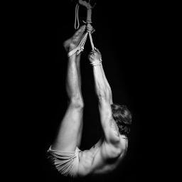 Lewdatic's profile picture. #TeamFollowBack #TeamGay 18+ ONLY (varies regionally)