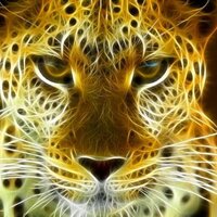 peppino quaranta (@giuseppe677) 's Twitter Profile