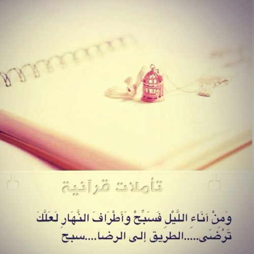 لمْ نُخلق للِبقاء , فلنصنع لأرواحنا أثرًا طيبًا يبقىَ مِن بعَدِنا♡