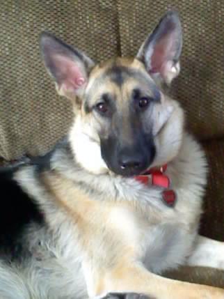 jlogan101055's profile picture. 