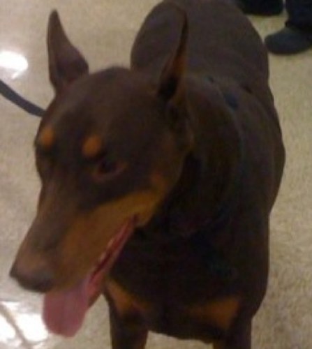 PrincessDiW's profile picture. I am sentimental, silly giving, too honest, sarcastic and slightly crazy. Friendship is very important to me.