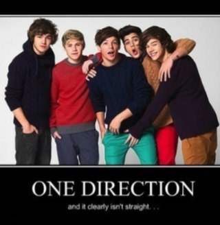onedirectionHS7's profile picture. Has the whole world gone mad, what does everyone see in those 5boys?