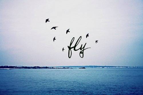 i wish i could write beautiful words but i can't