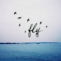 AYE YO (@aestivate_) 's Twitter Profile