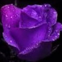 Kimmi Lynn Walden - @kimmi_lynn24 - Twitter