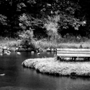 Evan Howe - @EvHowe - Twitter