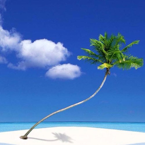 VONNE01555356's profile picture. 