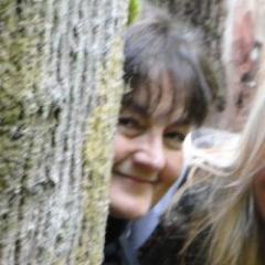 Registered horticultural therapist. Restorative garden design. Horticultural therapy training and consulting. Therapeutic horticulture programs.