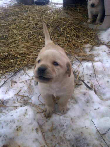 mkshowme's profile picture. 