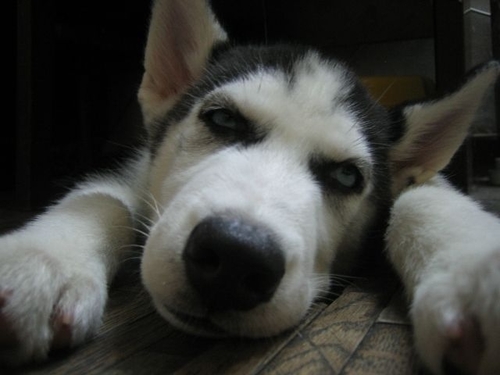 wikiqian's profile picture. 無黨派，噴TG可以，拒絕無腦黑中國，拒絕分裂。