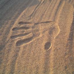 YMeSolutions's profile picture. Since establishment we have been assisting individuals, business, industry, community groups, education bodies and local government improve their sustainability