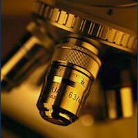 histopathology ๐ฌ (@histopathology) 's Twitter Profile