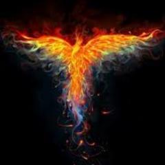 impresoresfenix's profile picture. 