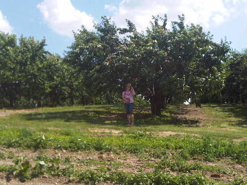 Marketing_Exprt's profile picture. We know how to Market.  Here is the system we use to make $ on Twitter. Seriously!