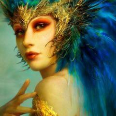 NoviceApproach's profile picture. Noviceapproach on vine. Just having fun